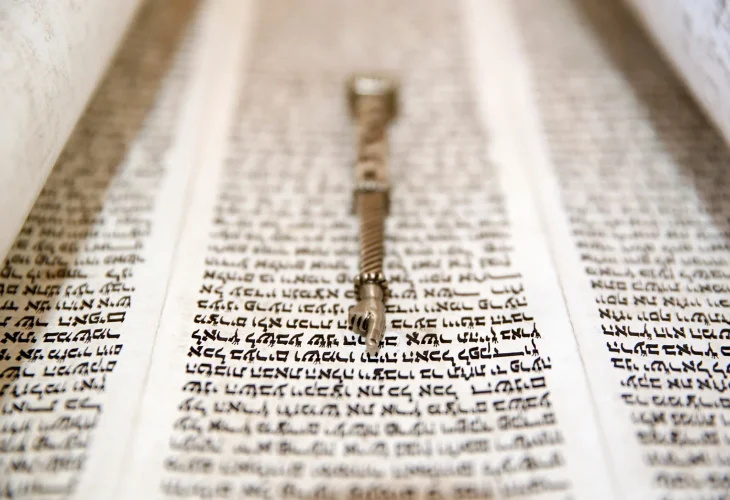 (צילום: shutterstock)