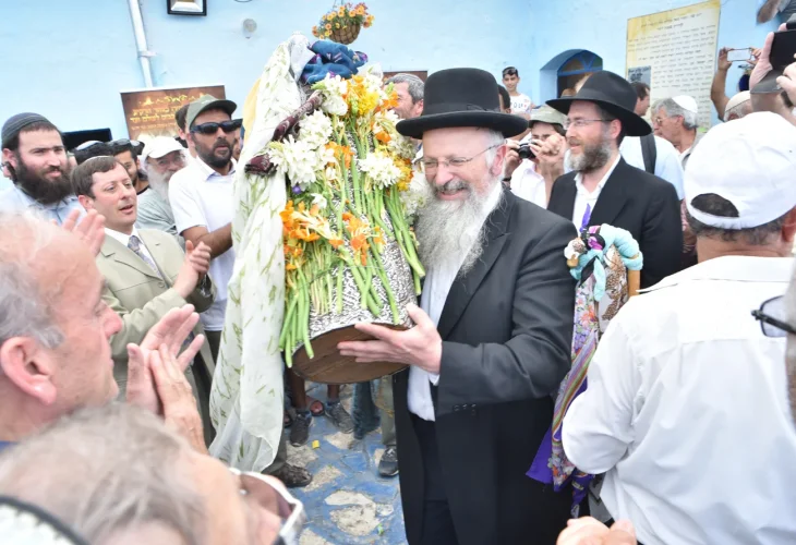 (צילום: ניתאי שאנני) (צילום: ניתאי שאנני)