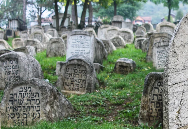 (צילום: shutterstock) (צילום: shutterstock)