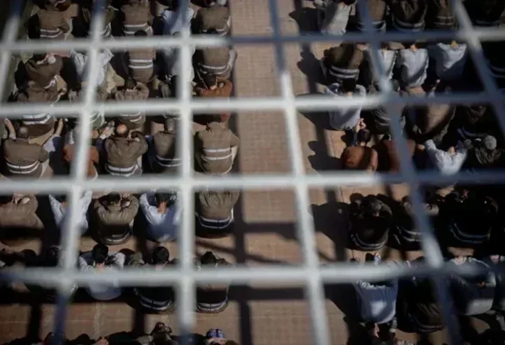 מחבלים עצורים (צילום: חיים גולדברג, פלאש90)