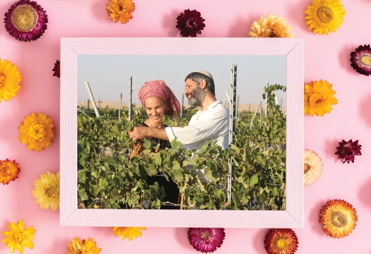 גל ורוני תושיה (צילום: דייויד סילברמן) גל ורוני תושיה (צילום: דייויד סילברמן)