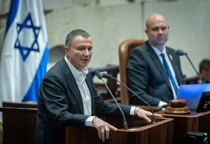 אדלשטיין, ארכיון (צילום: חיים גולדברג, פלאש 90)