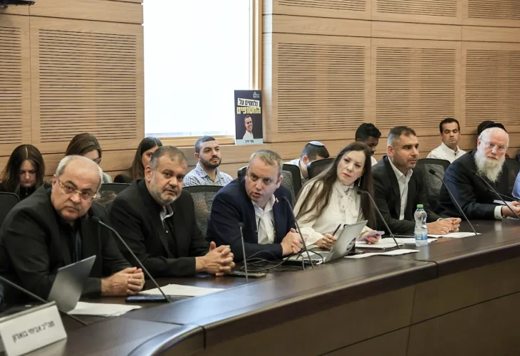 ועדת הכנסת (צילום: דני שם טוב, דוברות הכנסת)