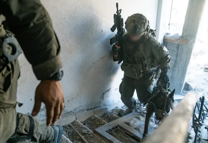 פעילות ברצועה (צילום: דובר צה"ל)