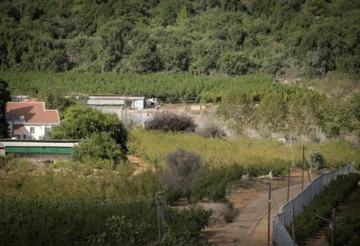 משוב מרגליות, ארכיון (צילום: מיכאל גלעדי, פלאש90)