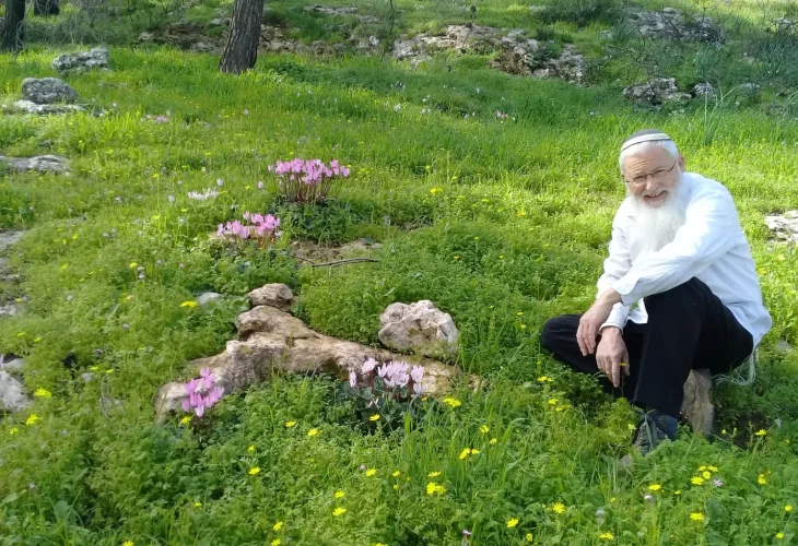 הרב יוסי כהן