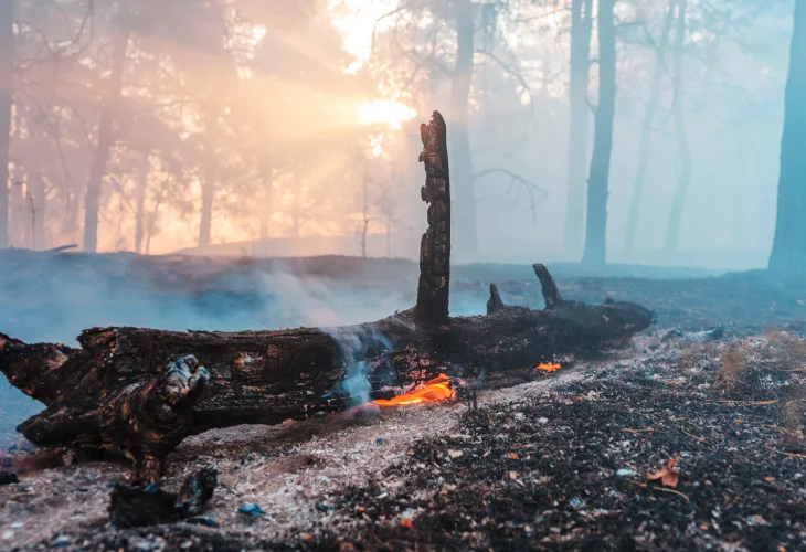 (קרדיט: shutterstock)