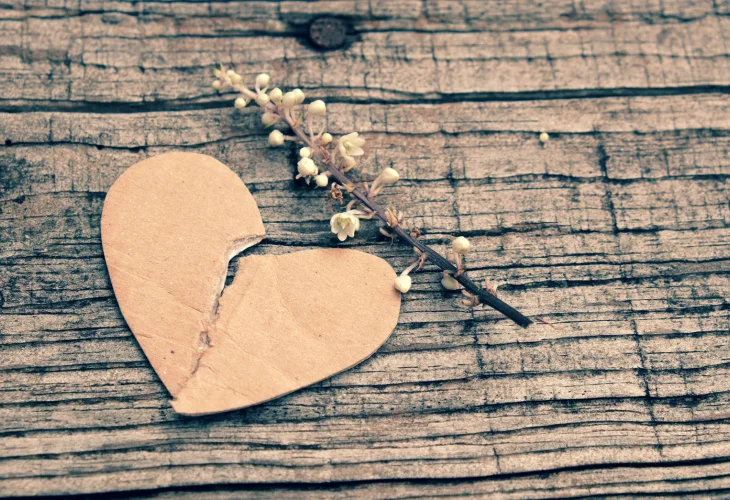 (צילום: shutterstock)