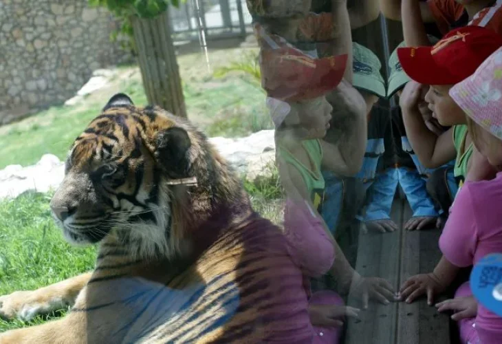 גן החיות התנ"כי, ארכיון (צילום: קובי גדעון פלאש90)