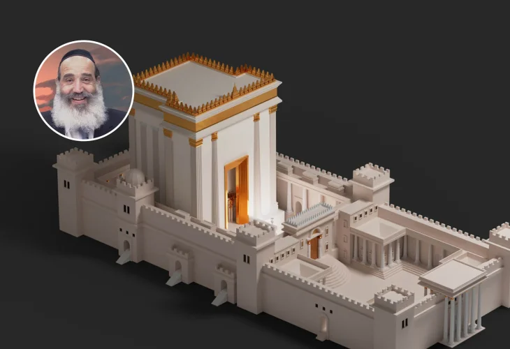 (צילום: shutterstock)