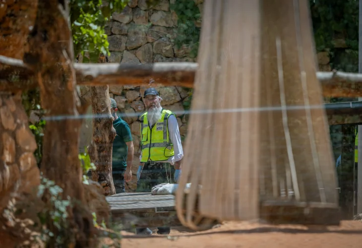 הזירה בה נהרג אוריאל נורי, בגן החיות התנ"כי בירושלים (צילום: חיים גולדברג, פלאש90)