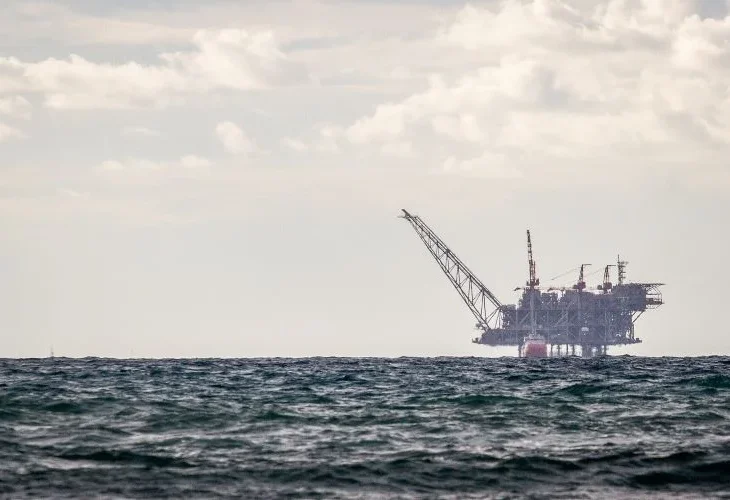 אתר לוויתן, ארכיון (צילום: פלאש90)