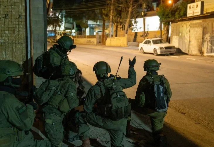 פעילות ביו"ש, ארכיון (צילום: דובר צה"ל)