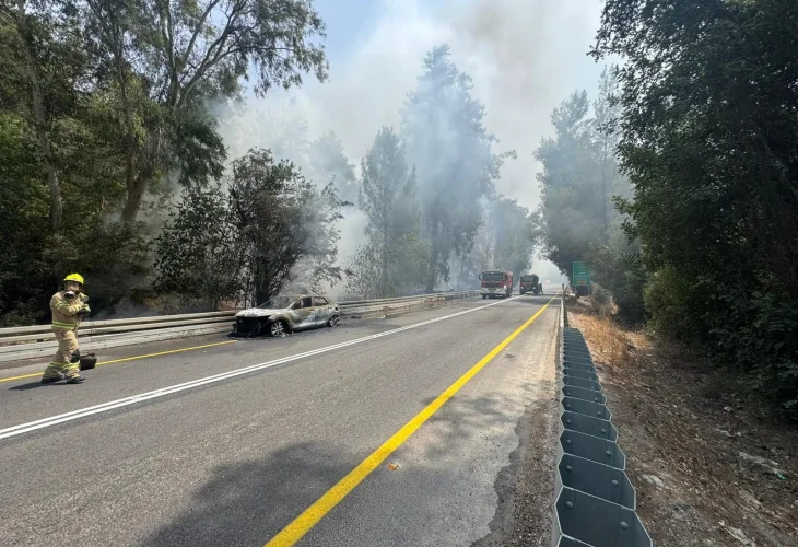 שרפה ביער אשתאול (צילום: עובדי ויערני קק״ל)