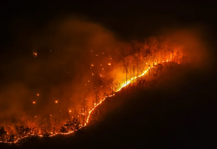 אילוסטרציה (קרדיט: shutterstock)