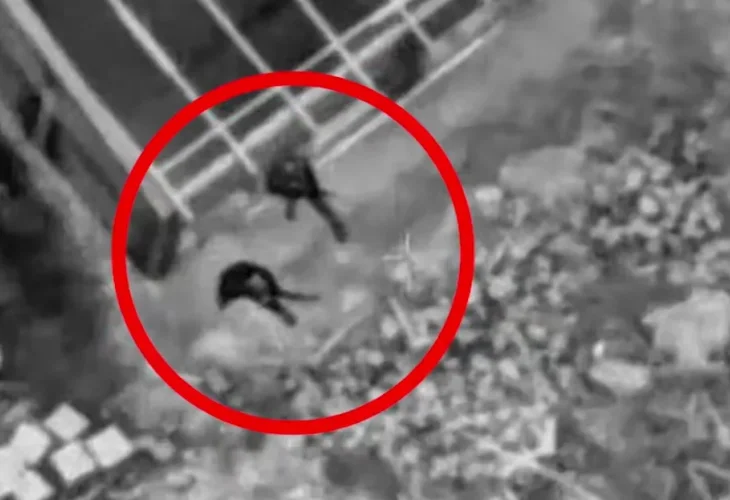 תקיפת חוליית המחבלים החמושה בסמוך לבית החולים (צילום: דובר צה״ל)