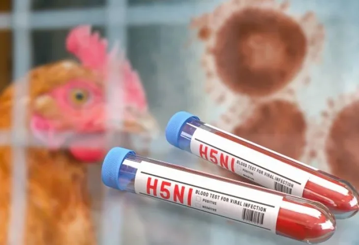 אילוסטרציה (צילום: שאטרסטוק)