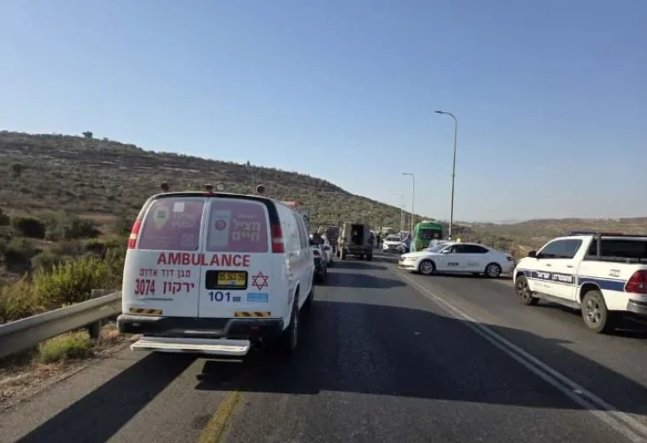 זירת הפיגוע (צילום: דוברות מבצעית מד"א) 