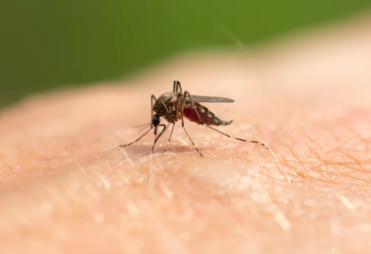 (קרדיט: shutterstock)