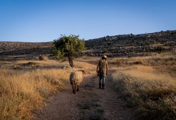 אילוסטרציה 0צילום: משה שלייפר, פלאש90)