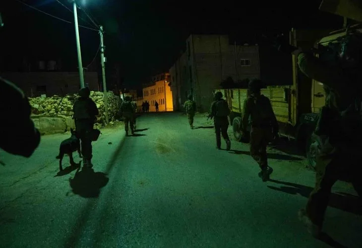 פעילות ביו"ש, ארכיון (צילום: דובר צה"ל)