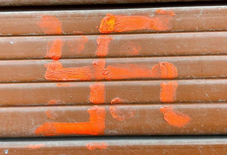 (צילום: שאטרסטוק)