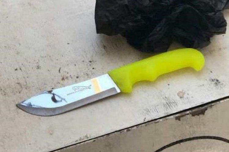 הסכין של המחבלת (צילום: דוברות המשטרה)