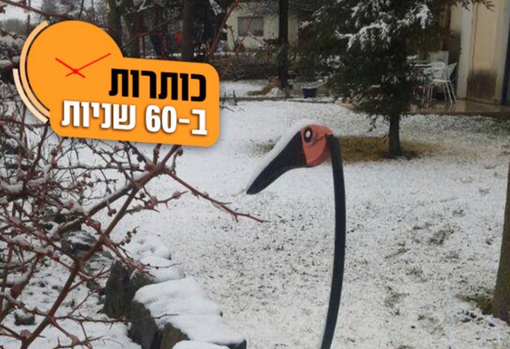 שלג במרום גולן (צילום: דוברות התנועה הקיבוצית)