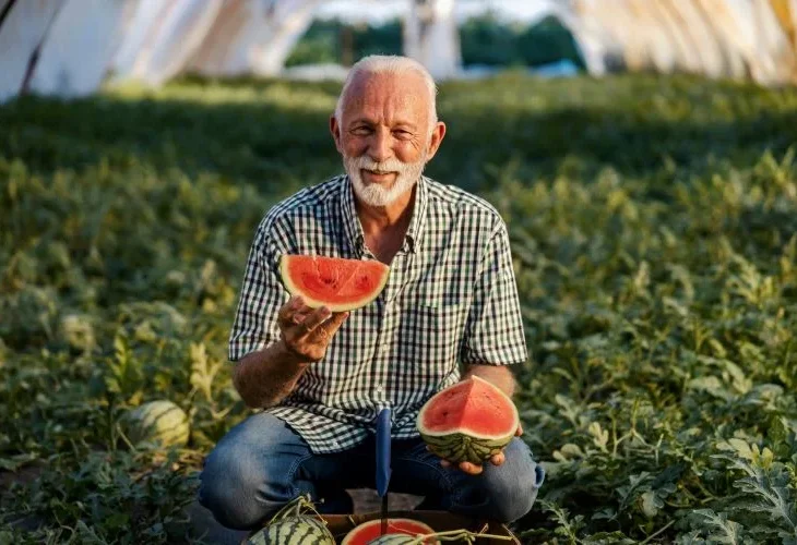 אילוסטרציה (שאטרסטוק)