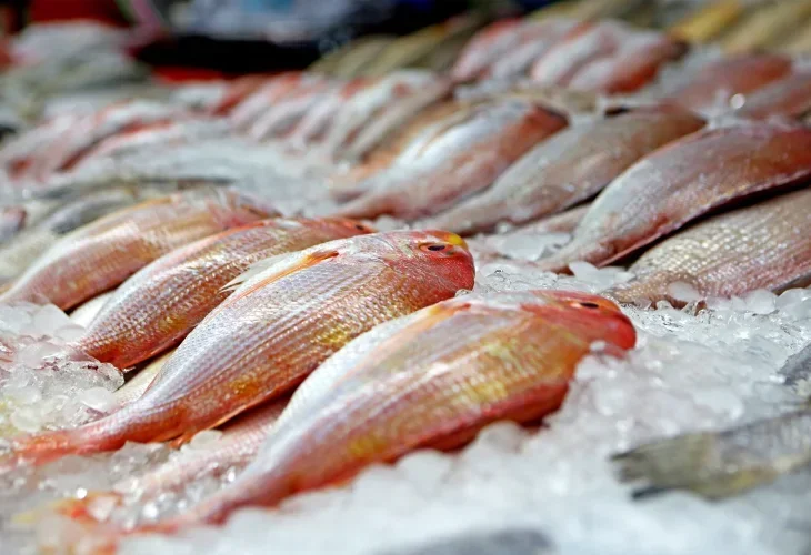 (צילום: shutterstock)