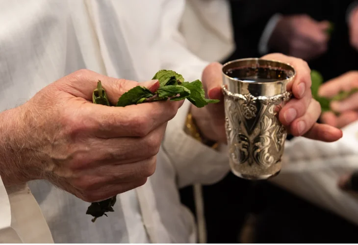 (צילום: שאטרסטוק)