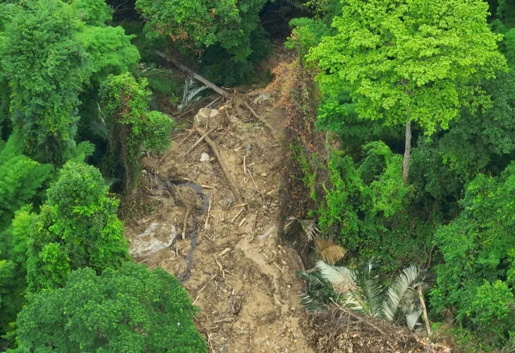 אילוסטרציה (קרדיט: shutterstock)