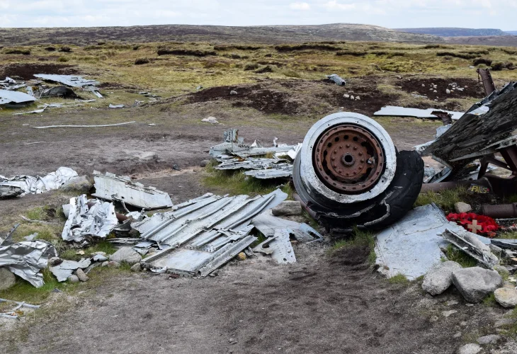 אילוסטרציה (קרדיט: shutterstock)