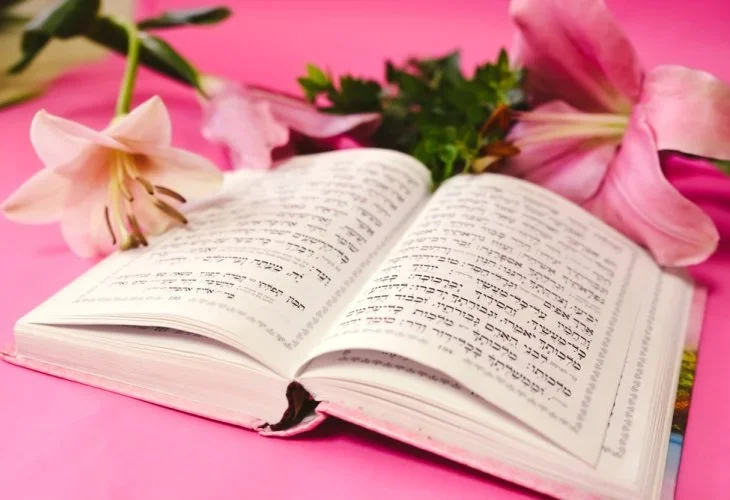 (צילום: shutterstock)