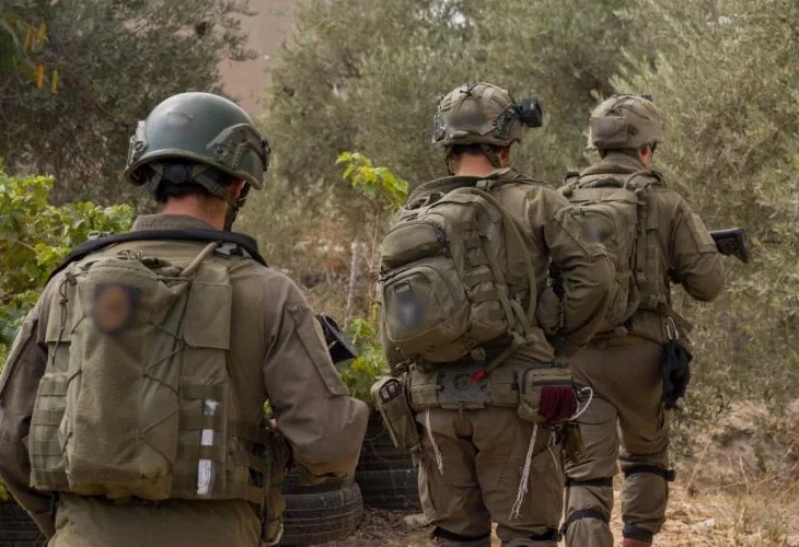 פעילות ביו"ש (צילום: דובר צה"ל)