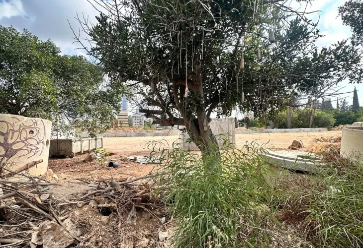 שטח מפעל תעש בתל אביב יהפוך לשכונה חדשה • קרדיט" יח"צ