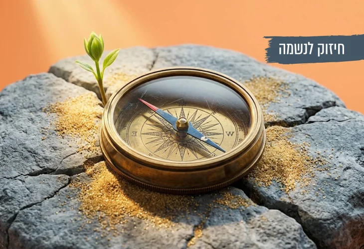 למה דווקא עכשיו? הפלא יועץ מסביר איך להתמודד עם אתגרי החיים