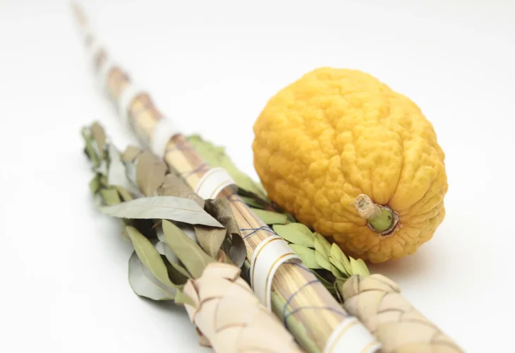 (צילום: שאטרסטוק)