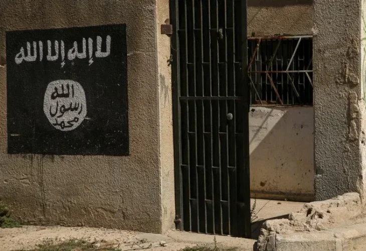 אילוסטרציה (קרדיט: shutterstock)