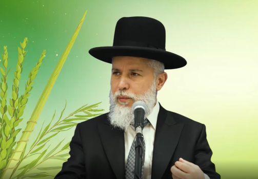הרב זמיר כהן - סודם של ארבעת המינים