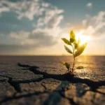 Messiah & Redemption Messiah & Redemption