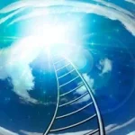 Spirituality Spirituality