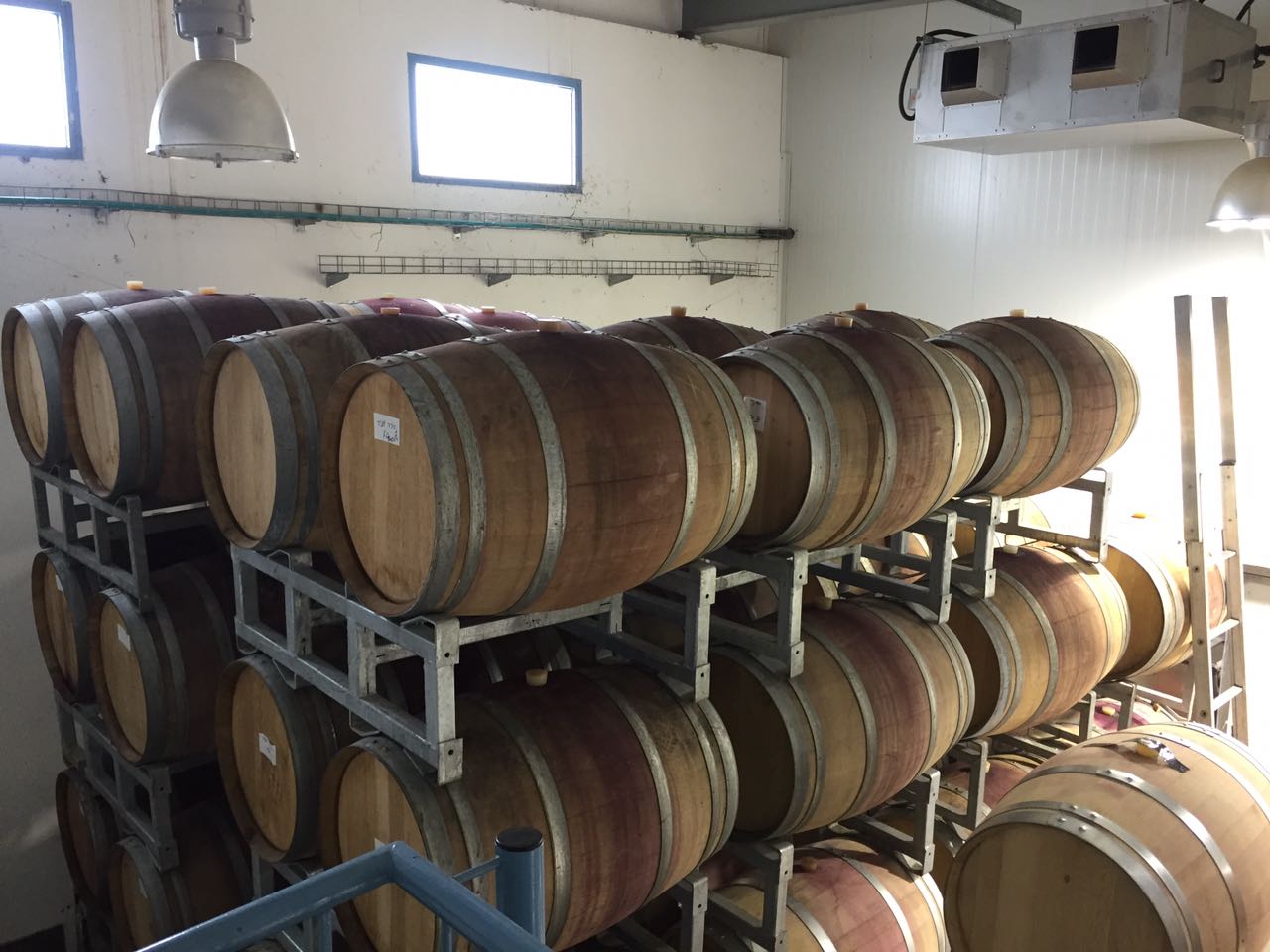 The wine barrels at Aharonoff Winery