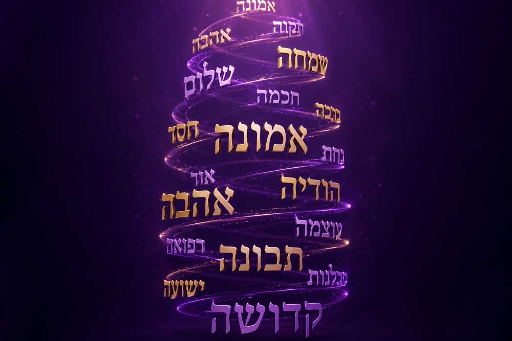 לראשונה בחיי נדהמתי: איזה דבר יפה יש כאן