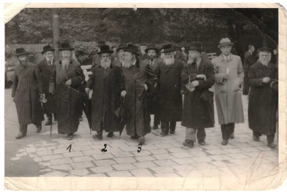 קבוצת רבנים בחופשה, יחד עם סבא. ביניהם: האדמו"ר מבויאן