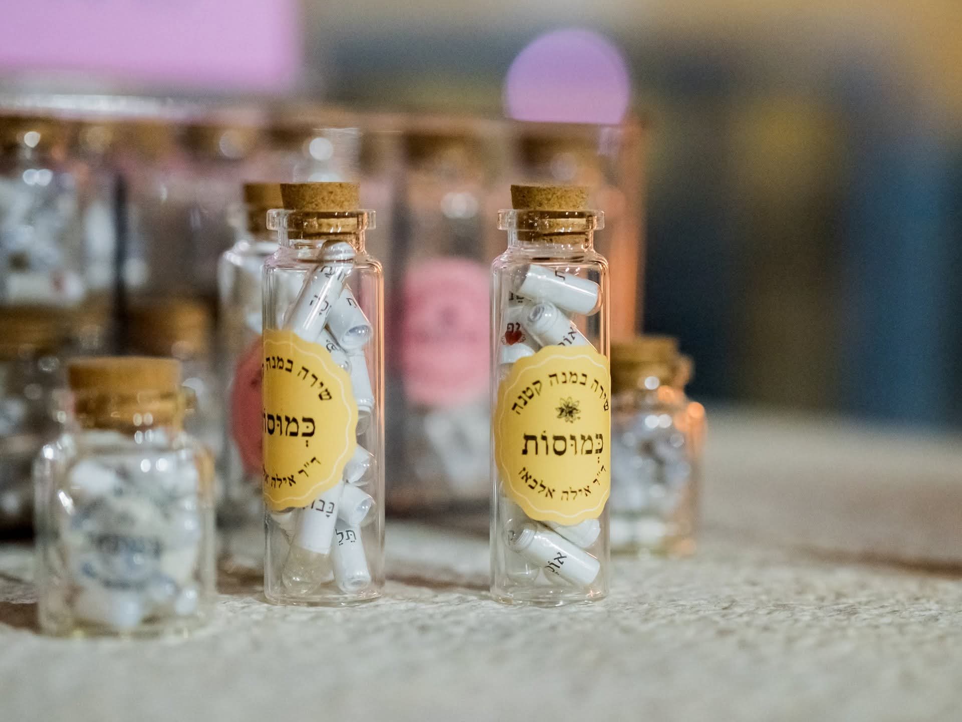 (צילום: טל כפיר שור)