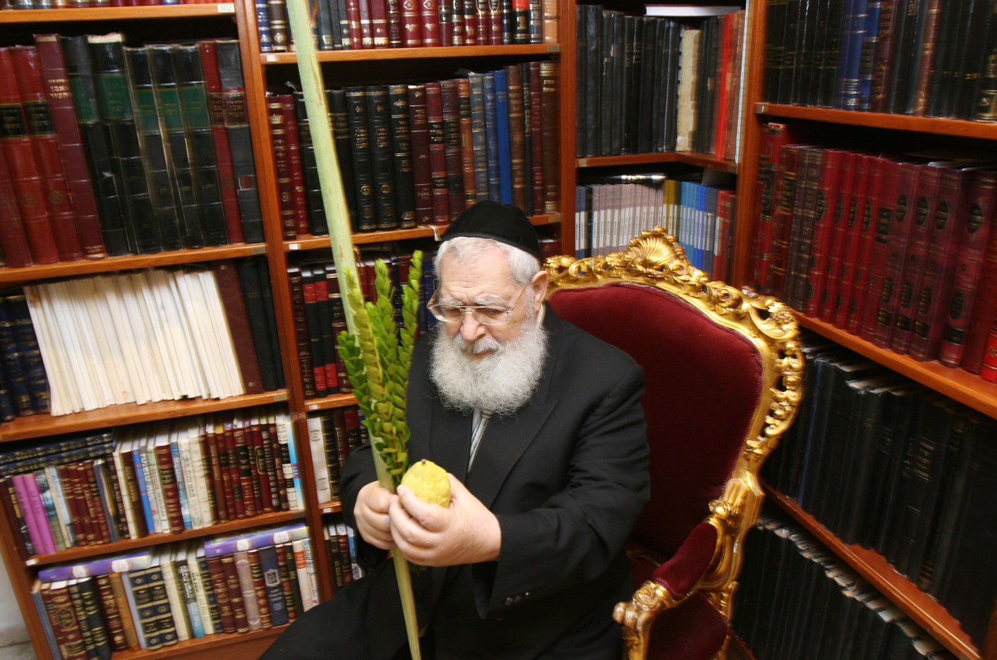 (צילום: Pierre Terdjman / Flash90)