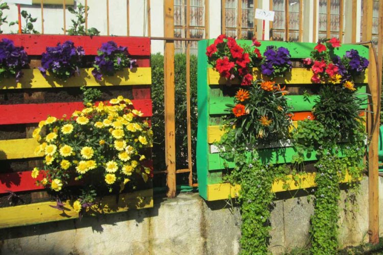 (קרדיט: עמותת לשומרה)