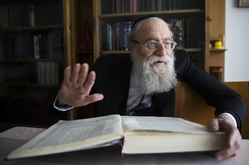 הגאון הרב אריה שטרן זצ"ל (צילום: נתי שוחט, פלאש 90)