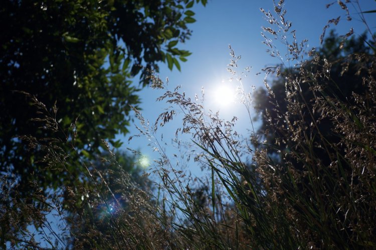 חשיפה ממושכת לשמש מייבשת את העור ומאיצה הופעת קמטים